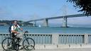 Bart with the Bay Bridge.