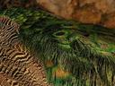 Nice feathers.