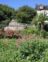 There are plenty of terraced, garden-filled staircases throughout San Franciscos more hilly neighbourhoods.