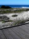Boardwalk at Asilomar.