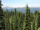 Mt.Revelstoke views.