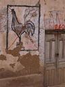 Seems any and all walls are used for political campaigning down here. WeÂ´ve seen all kinds of messages and slogans but this was the best! Vote no on chicken.