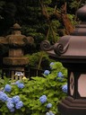 Tokyo, Japan - 143