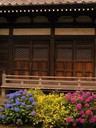 Tokyo, Japan - 149
