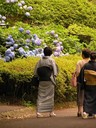 Tokyo, Japan - 155