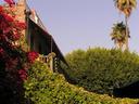 Olvera Street 