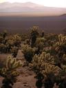 On the way downhill into the lower elevation desert of Joshua Tree National Park.
